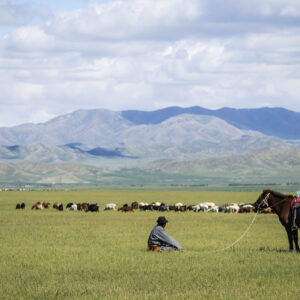【GW06】Golden Week チンギス・ハーン像と草原体験 テレルジ満喫日帰りツアー
