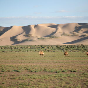 【HA050】大地を駆ける！南ゴビ大横断とテレルジ自然探訪8日間