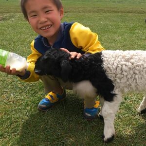 【HA023】本物のモンゴルを体験！遊牧民宅に泊まる特別な3日間