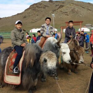 【HA037】モンゴルの心に触れる4日間！遊牧民宅ステイ×本格乗馬×草原体験