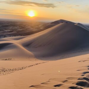 【HA032】ようこそ、恐竜と遊牧民が暮らす星の下へ