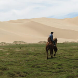【HA048】ゴビ砂漠を完全制覇！恐竜化石・白い仏塔・満天の星空を巡る冒険6日間